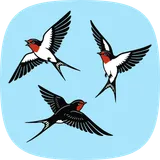 Hokusai logo
